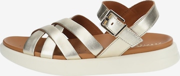 GEOX Sandalen met riem in Goud