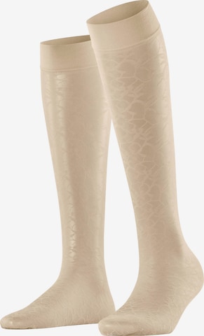 FALKE Overknee Strümpfe 'Soft Spell' in Beige: Vorderseite
