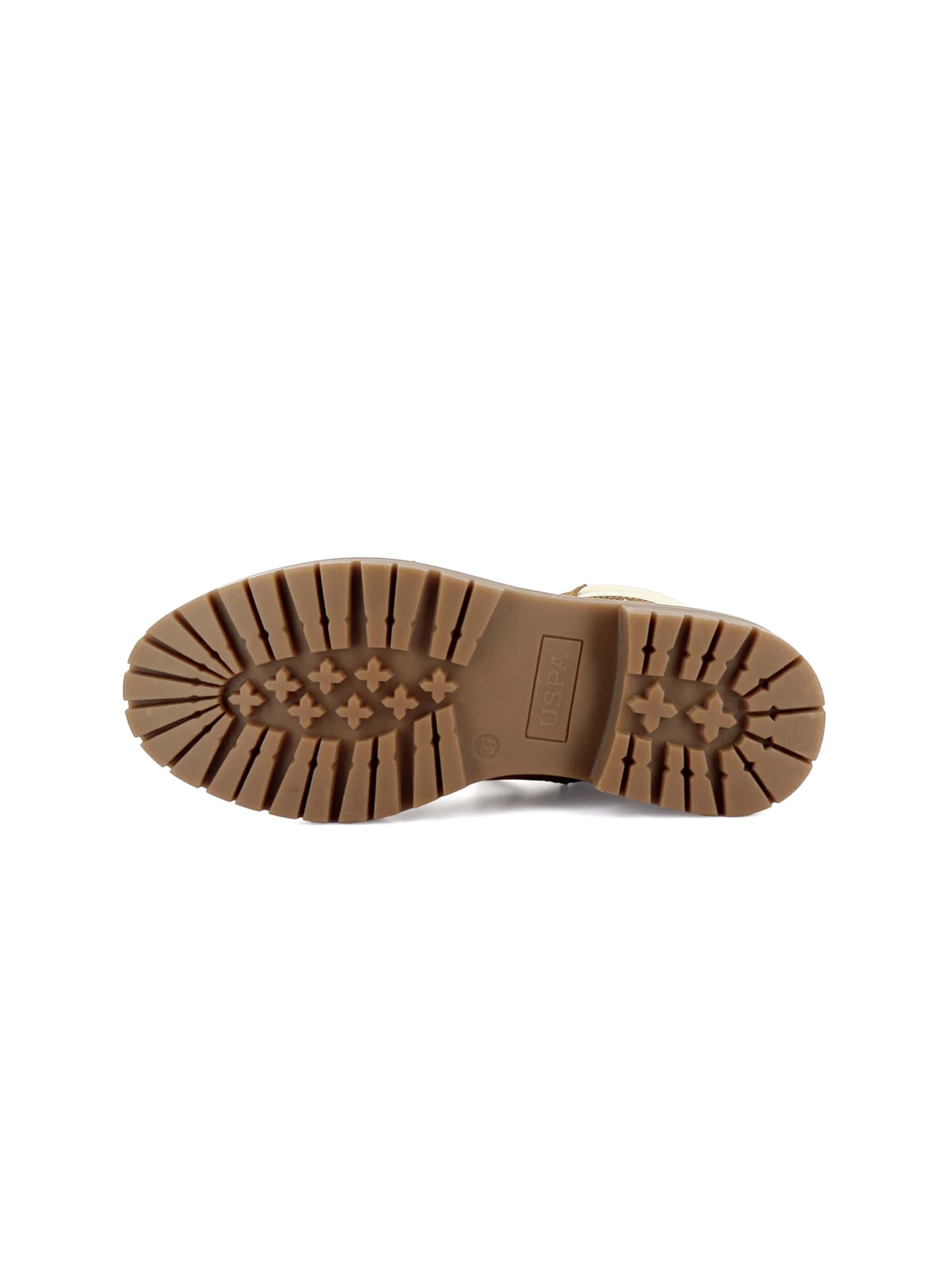 US POLO ASSN. - Botines con cordones en marrón