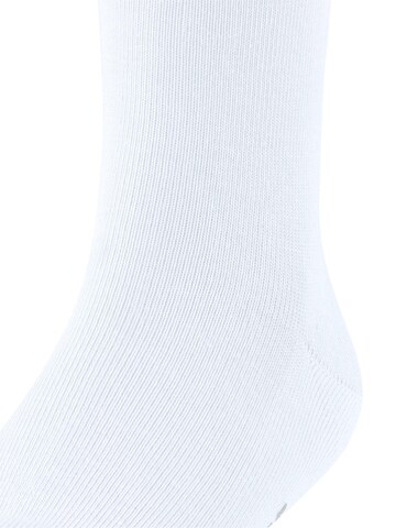 FALKE Socks 'Family' in White