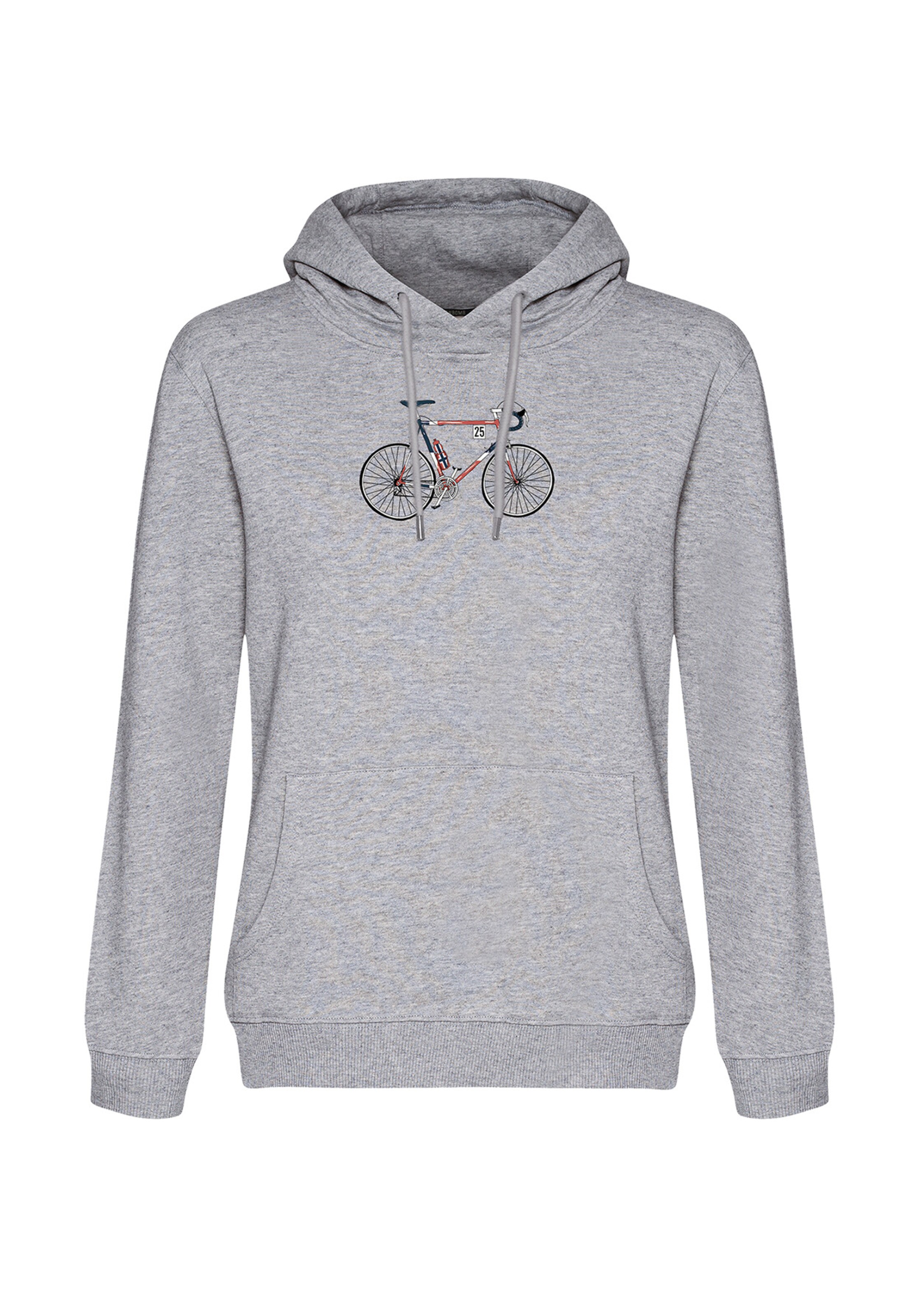 GREENBOMB Sweatshirt 'Bike Norway' in Grey: front
