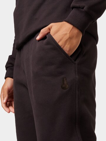 Tapered Pantaloni di Ocay in marrone