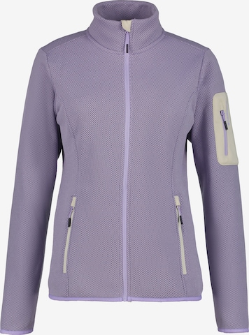 ICEPEAK Funktionsfleecejacke 'Bowersville' in Lila: Vorderseite