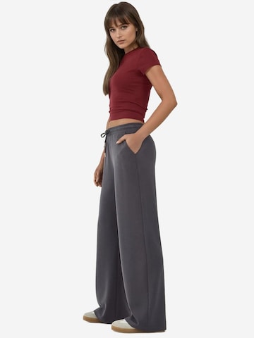 Wide Leg Pantalon Hiccup en gris