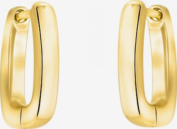 Sofia Milani Ohrringe in Gold: Vorderseite