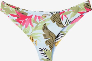 Desigual Bikini bottom in Mixed colours: front
