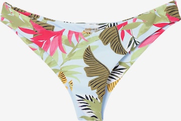 Desigual Bikini Bottoms in Mixed colors: front