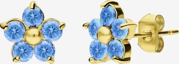 Lucardi Oorbellen 'Münze' in Goud: voorkant