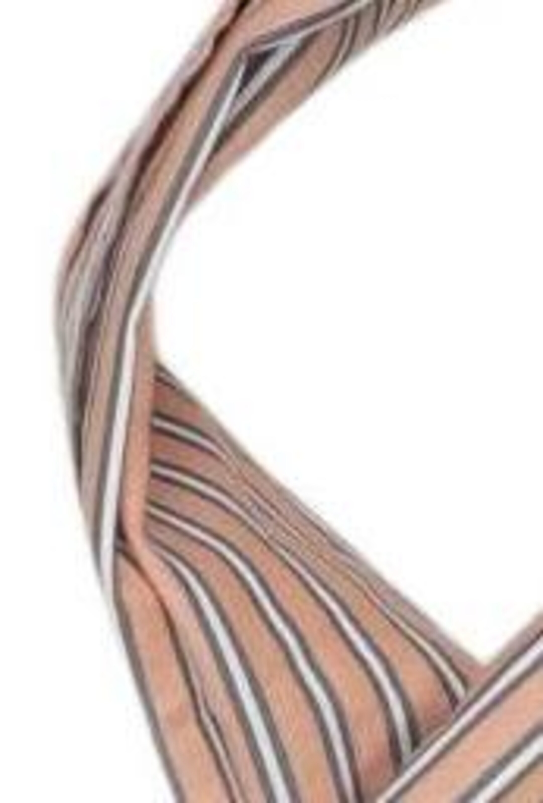 BRAX Schal oder Tuch One Size in Mischfarben