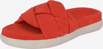 Crickit Sandals 'JELLA' in Red: front