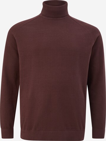 s.Oliver Men Big Sizes Sweater in Brown: front