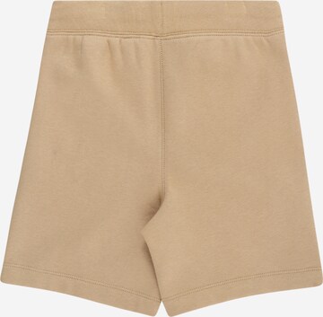 Regular Pantalon GAP en marron