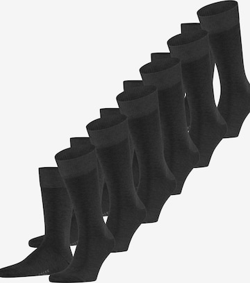 FALKE Socken 'Happy 6-Pack' in Grau: Vorderseite