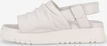Sandales 'Nancy D818' FELMINI en blanc
