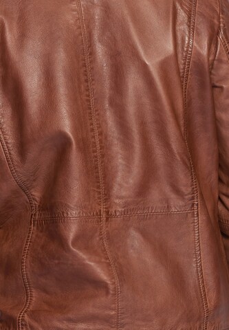 Veste mi-saison 'Berwick' Maze en marron