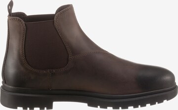 GEOX Chelsea Boots 'Andalo' in Braun