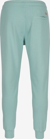 O'NEILL Tapered Broek in Blauw