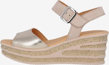 GABOR Sandals in Pink