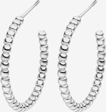 Steelwear Earrings in Silver: front