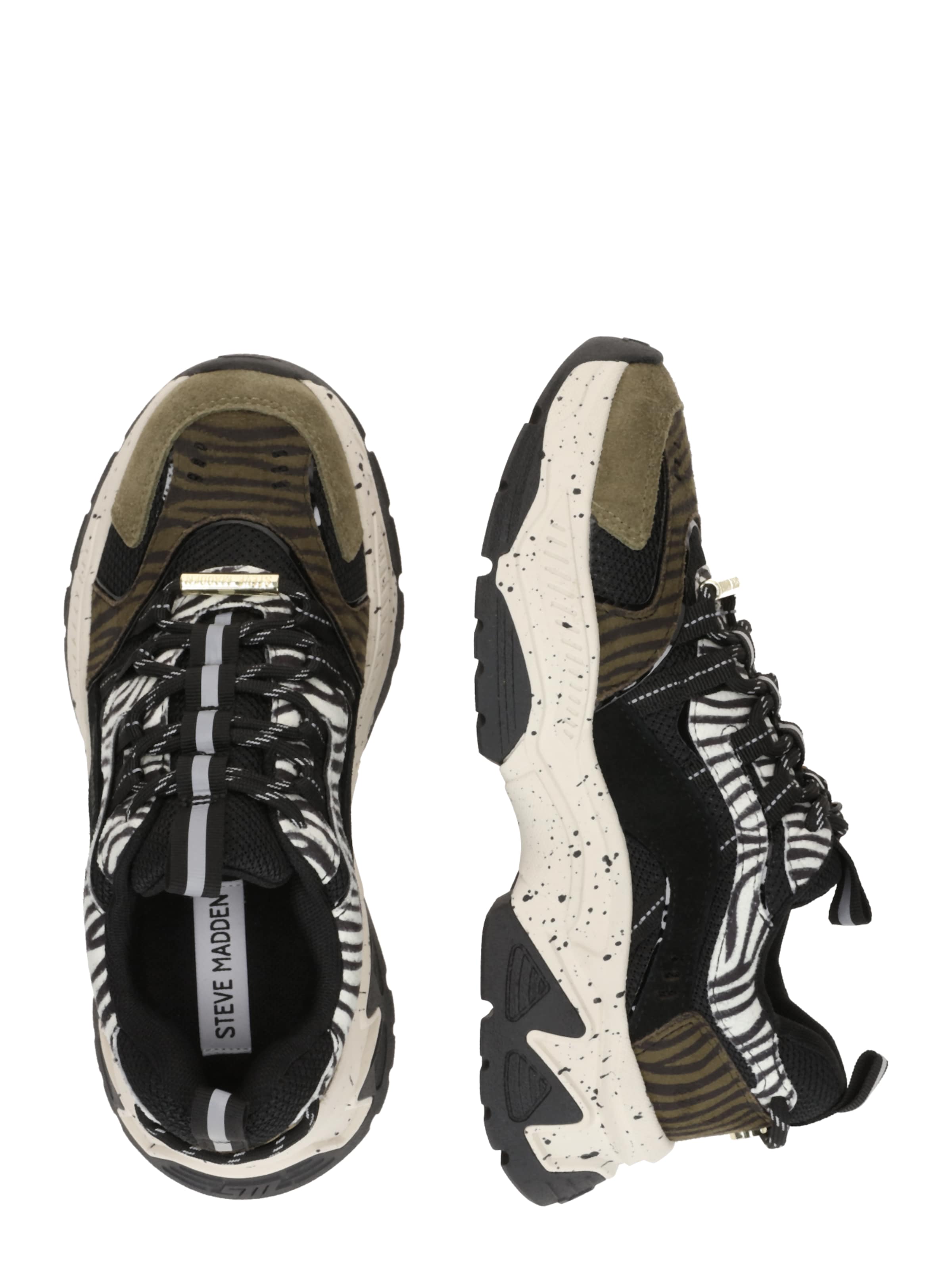 STEVE MADDEN Σνίκερ χαμηλό 'Animates-LE' σε μαύρο