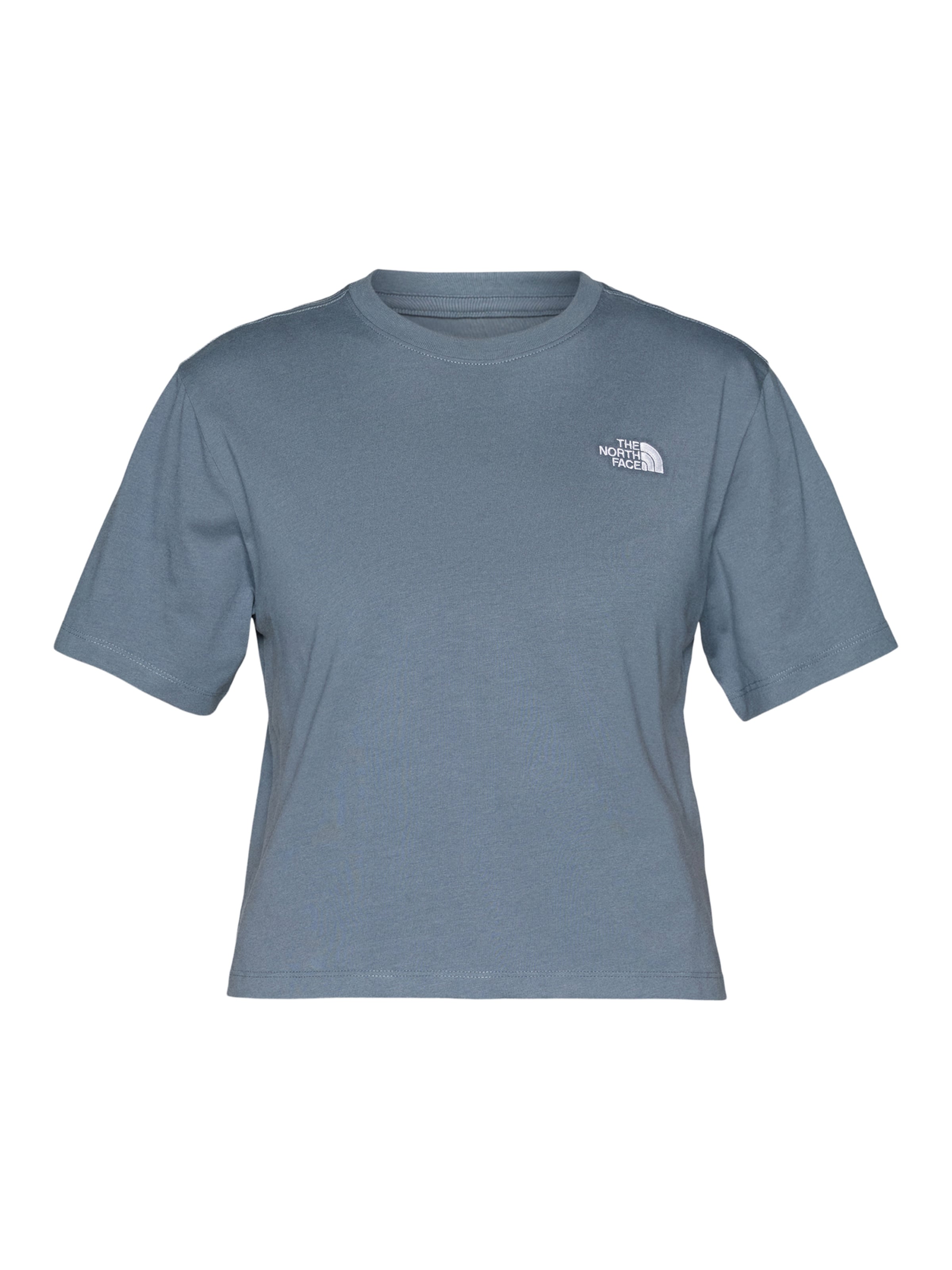 THE NORTH FACE Μπλουζάκι 'EVOLUTION SIMPLE DOME' σε γκρι: μπροστά