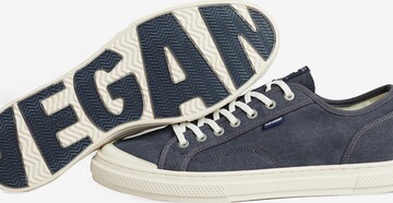 Superdry Sneakers in Blue