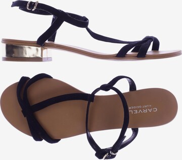 Carvela Sandalen 39 in Schwarz: predná strana