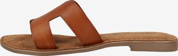 LAZAMANI Mules in Brown