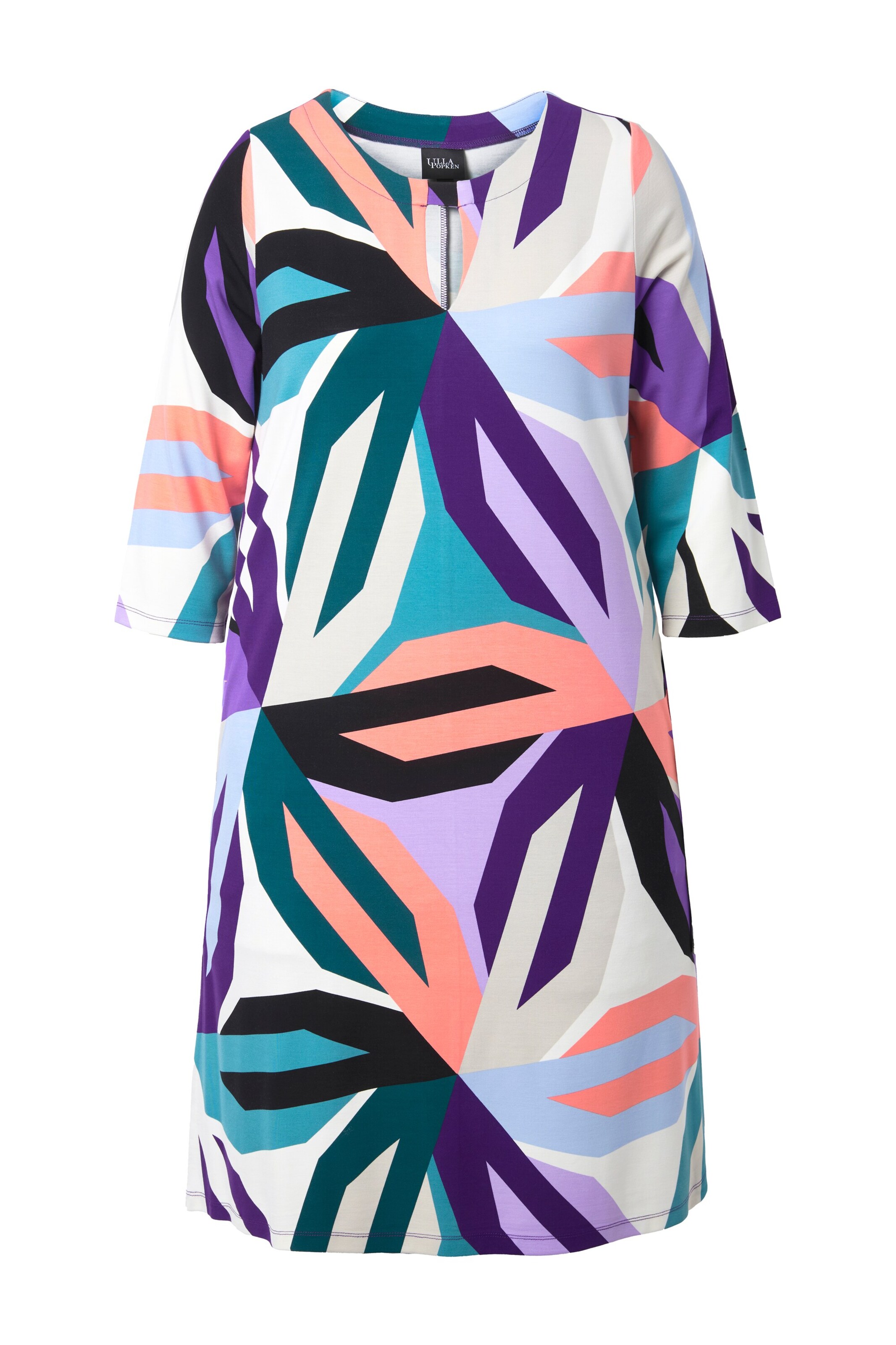 Ulla Popken Dress in Mixed colours: front