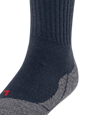 FALKE Socks 'Active Warm' in Blue