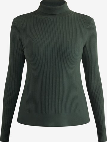 usha BLACK LABEL - Pullover 'Nowles' em verde: frente