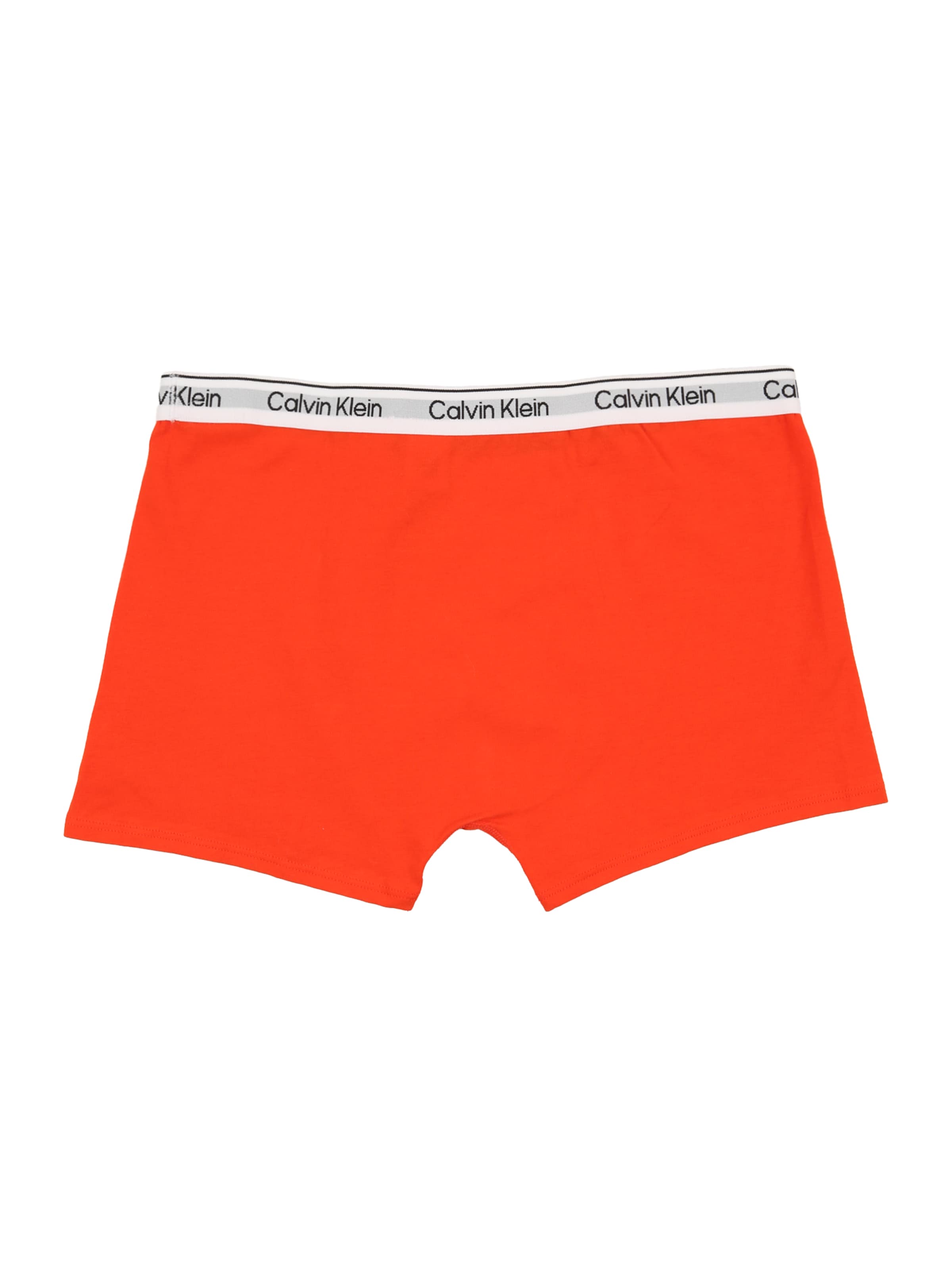 Calvin Klein Underwear Boxershorts in Rot
