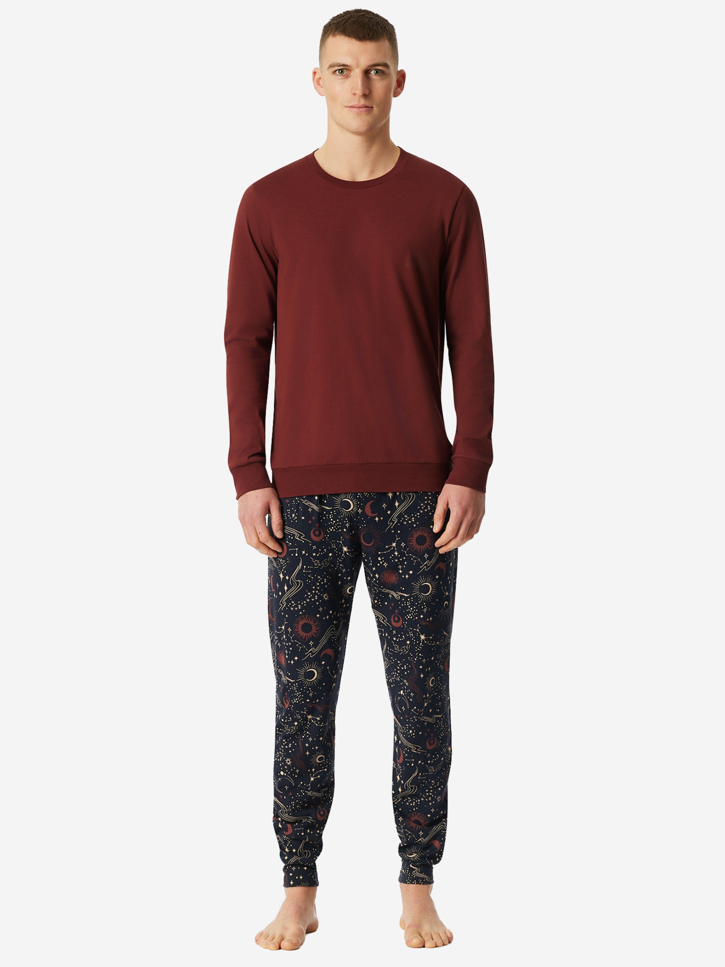 SCHIESSER Pajamas long ' Family ' in Blue