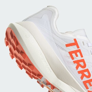 ADIDAS TERREX - Zapatos bajos 'Agravic Speed Trai' en blanco