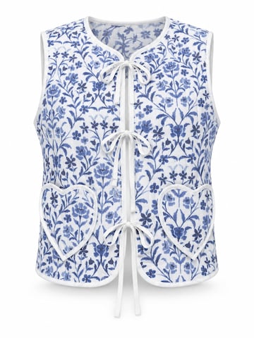 Gilet Ombre en bleu : devant