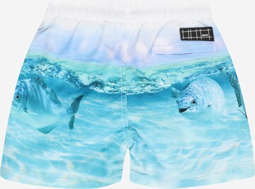 Shorts de bain 'Niko' Molo en bleu