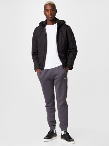 Pegador Tapered Pants in Grey