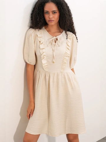 Bigdart Dress in Beige