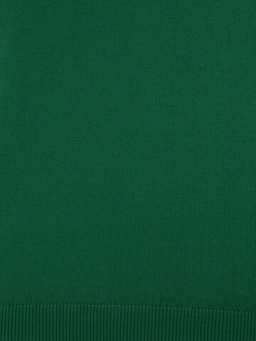 UNITED COLORS OF BENETTON Пуловер в зелено