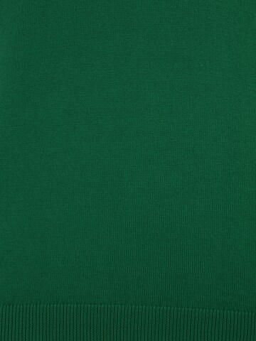 UNITED COLORS OF BENETTON Sweater in Green