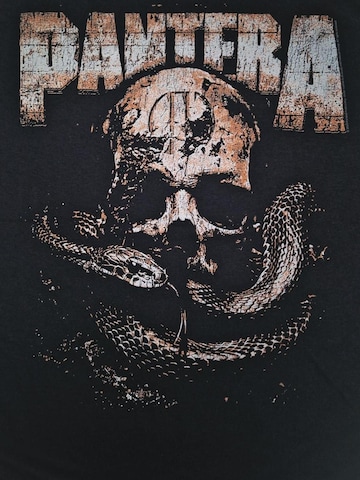 PANTERA - Camiseta 'Pantera By Demon Be Driven' en negro