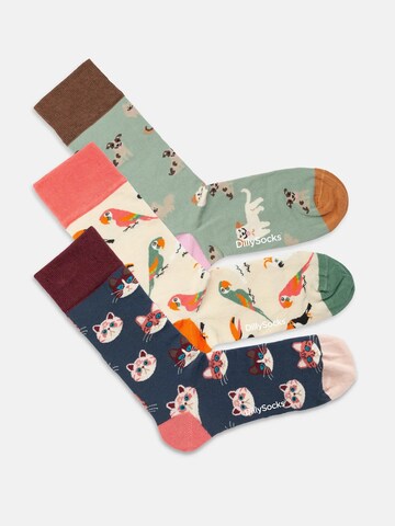 DillySocks Socken 'Precious Pets' in Mischfarben