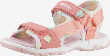 Richter Schuhe Strap Sandals in Pink: front