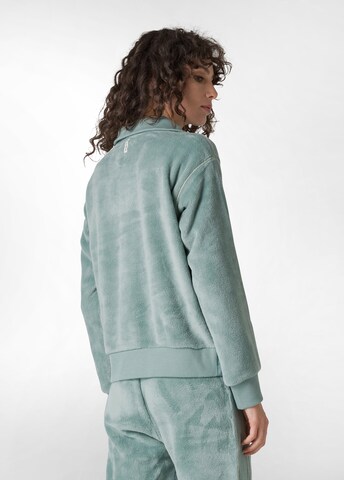 DEHA Sweatshirt in Groen