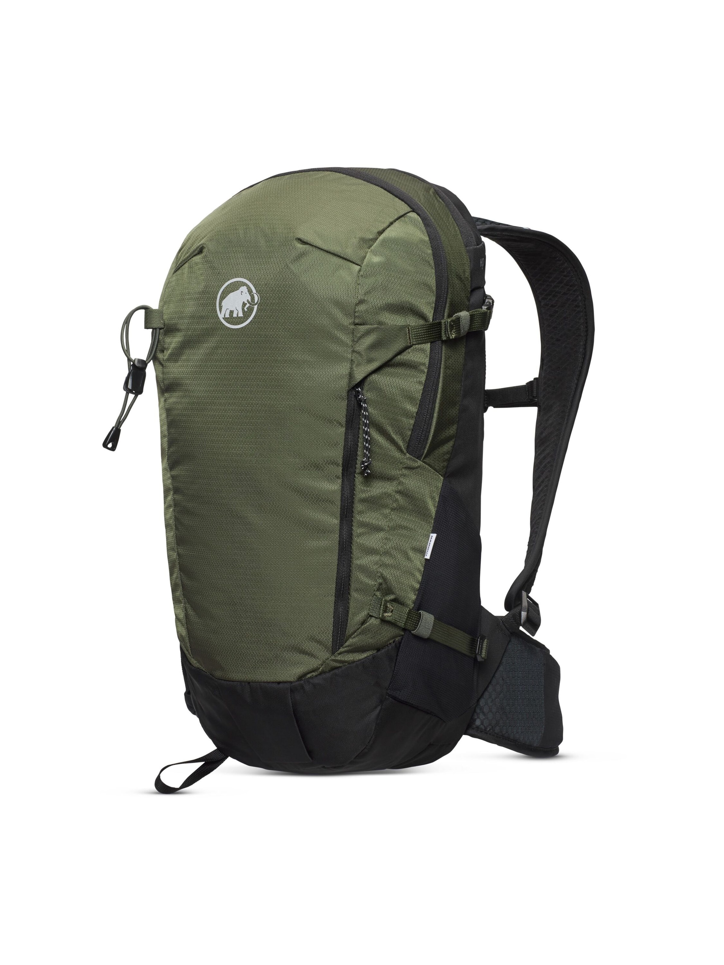 MAMMUT Sports backpack 'Lithium 20' in Green: front