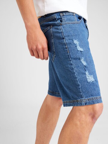 Denim Project tavaline Teksapüksid, värv sinine