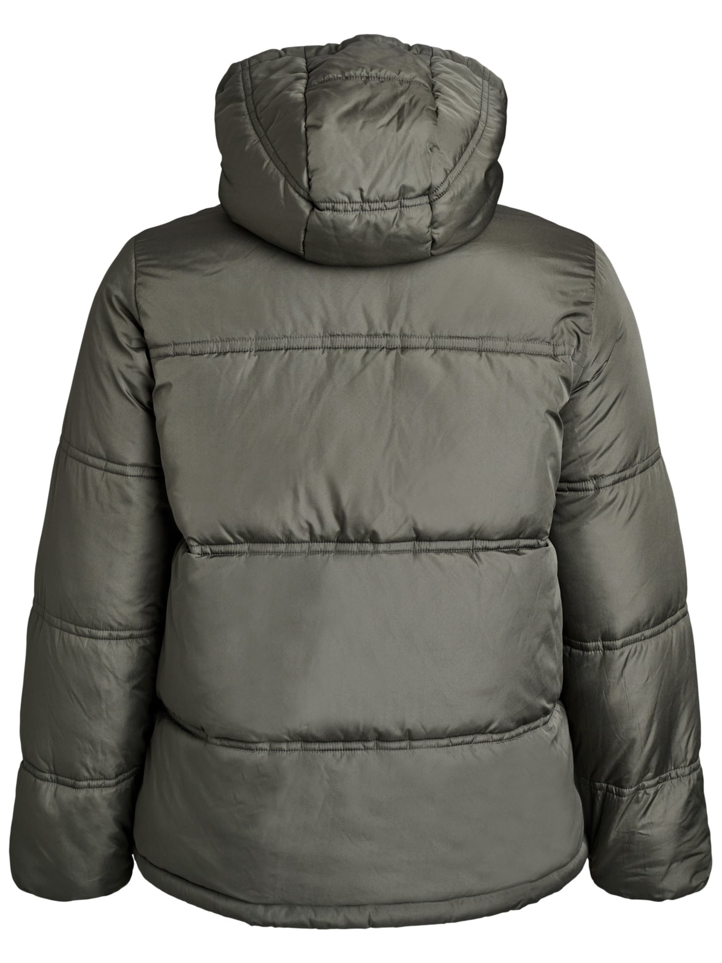 Zizzi Winterjacke 'Calea' in Grau