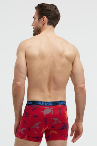 CAMP DAVID Boxer shorts in Blue