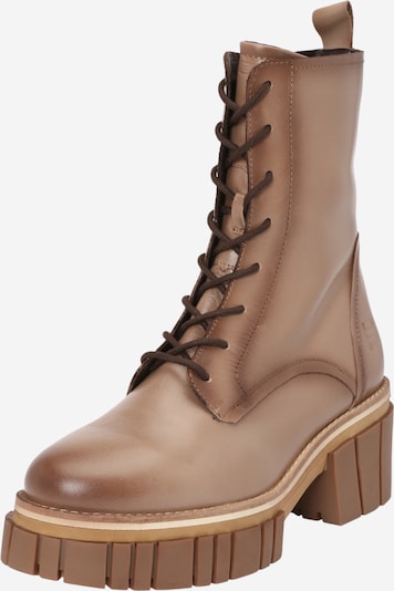 TT. BAGATT Lace-up bootie in Light brown, Item view