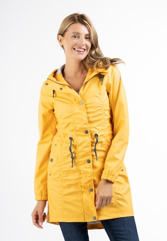 Usha Raincoat in Yellow: front